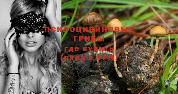 стафф Приозерск