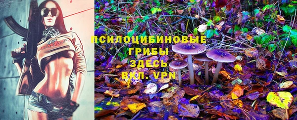 ПСИЛОЦИБИНОВЫЕ ГРИБЫ Пролетарск