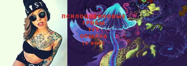 стафф Приозерск