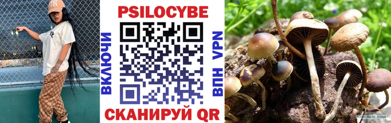 Галлюциногенные грибы мицелий Пойковский