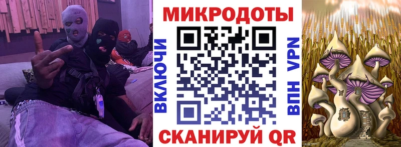 продажа наркотиков  Пойковский  Псилоцибиновые грибы Psilocybine cubensis 